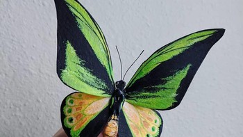 Untuk itu Wilson mulai membuat karya seni kupu-kupu dan kumbang dari kertas. Foto: Kerylinn Wilson via Bored Panda