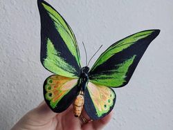 Seniman Ini Bikin Kupu-kupu Kertas yang Realistis Banget