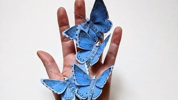 Karena terlihat seperti kupu-kupu yang diawetkan, padahal terbuat dari kertas. Foto: Kerylinn Wilson via Bored Panda