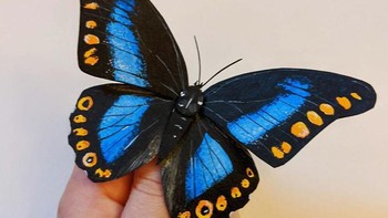 Siapa sangka kupu-kupu cantik ini terbuat dari kertas. Foto: Kerylinn Wilson via Bored Panda