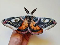 Seniman Ini Bikin Kupu-kupu Kertas yang Realistis Banget