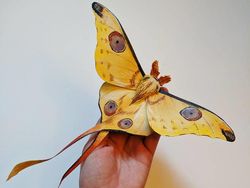 Seniman Ini Bikin Kupu-kupu Kertas yang Realistis Banget