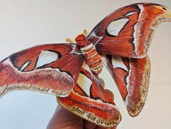 Seniman Ini Bikin Kupu-kupu Kertas yang Realistis Banget