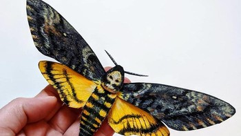 Walau terlihat sangat realistis dan memakan waktu, karya seni ini rupanya hanya proyek sampingan bagi Wilson. Foto: Kerylinn Wilson via Bored Panda