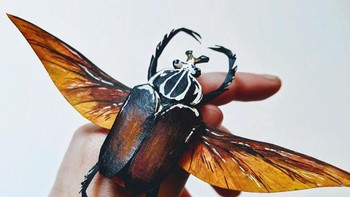 Ia selalu tertarik dengan serangga, tapi tidak mengerti bagaimana cara mengumpulkannya tanpa menyakiti hewan-hewan tersebut. Foto: Kerylinn Wilson via Bored Panda