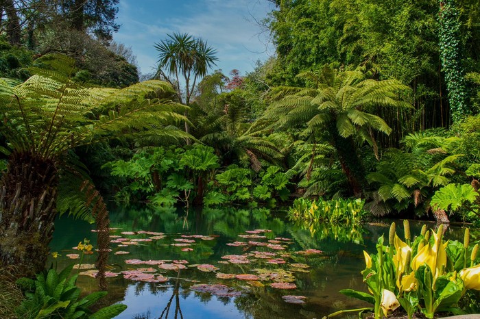 The Lost Gardens of Heligan