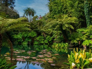 Kebun Raya Populer di Inggris Buka Lagi
