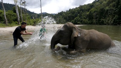 Di Kota Ini Wisata Restart!