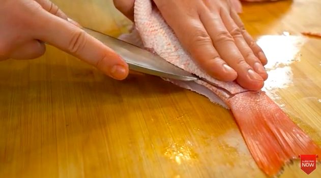 Chef Arnold Ungkap Keterampilan Chef Bersihkan Ikan hingga Kepiting