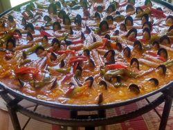 Foto Ini Harus Dilihat Lebih dari Dua Kali untuk Dipahami