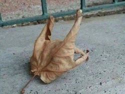 Foto Ini Harus Dilihat Lebih dari Dua Kali untuk Dipahami