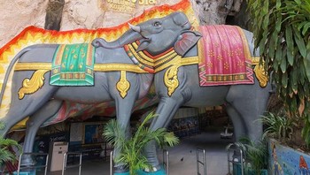 Itu kepala kerbau atau gajah? Foto: Brightside