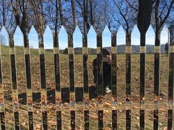 Foto Ini Harus Dilihat Lebih dari Dua Kali untuk Dipahami