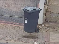 Foto Ini Harus Dilihat Lebih dari Dua Kali untuk Dipahami