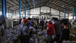 Tempat Pelelangan Ikan Muara Angke Kembali Bergeliat