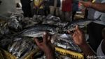Tempat Pelelangan Ikan Muara Angke Kembali Bergeliat
