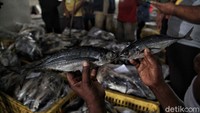 PSBB transisi fase 1 mulai diterapkan guna membangkitkan kembali roda perekonomian di sektor perikanan.