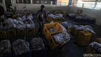 Meski telah dibuka, namun ikan yang dilelang tidak banyak seperti biasanya.