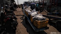 Para pekerja membawa ikan-ikan ke tempat pelelangan.