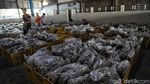 Tempat Pelelangan Ikan Muara Angke Kembali Bergeliat