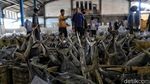 Tempat Pelelangan Ikan Muara Angke Kembali Bergeliat