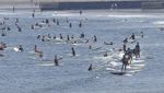 Pantai di Jepang Ramai Pengunjung Saat Era New Normal