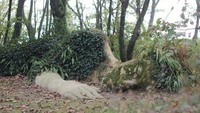 Dengan adanya patung hidup di taman ini bisa menarik pengunjung ke taman yang sudah berusia 400 tahun tersebut. 
