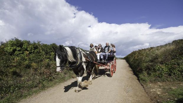 Sark, United Kindom - September 8th, 2010: Horse drawn transport is the only form of public transport allowed on the tiny English Channel Island of Sark.