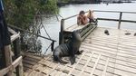 Foto: Traveler Berteman dengan Satwa Liar di Pulau Terpencil