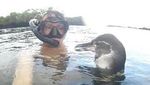Foto: Traveler Berteman dengan Satwa Liar di Pulau Terpencil