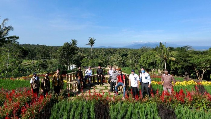 agrowisata taman suruh