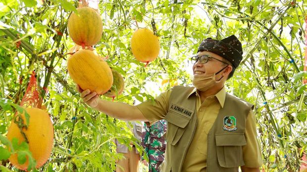 Bupati Banyuwangi, Azwar Anas.