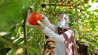 Staff Agrowisata Tamansuruh pun telah membekali diri dengan APD Kesehatan seperti masker dan faceshield. Pengunjung pun dijamin merasa aman (dok Disparekraf Banyuwangi)