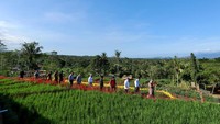 Hal itu pun membuktikan, kalau Bupati Anas dan stakeholder pariwisata setempat telah siap menyambut perubahan baru di sektor wisata. Tentunya tanpa mengabaikan protokol kesehatan yang berlaku demi keamanan wisatawan (dok Disparekraf Banyuwangi)