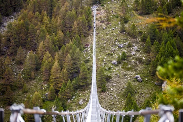 Jembatan Gantung Charles Kuonen menggantikan jembatan tua yang telah rusak akibat bebatuan yang jatuh. Penamaan jembatan ini sesuai dengan sponsor utamanya, yaitu seorang psikolog dan juga pemilik kilang anggur di Swiss. Jembatan Gantung Charles Kuonen menggantikan jembatan tua yang telah rusak akibat bebatuan yang jatuh. Penamaan jembatan ini sesuai dengan sponsor utamanya, yaitu seorang psikolog dan juga pemilik kilang anggur di Swiss.