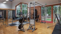 Selain itu juga ada pusat konferensi pers, spa dengan kolam renang, gym dan sauna. (Christies International Real Estate)
