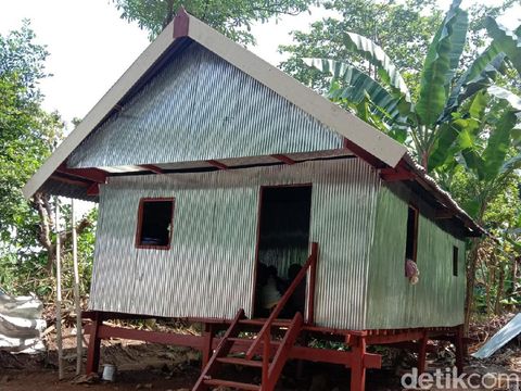 Gubuk milik Nenek Hadi yang hidup sebatang kara di Maros, Sulsel (Bakrie-detikcom).