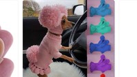 Di toko belanja online tak jarang pembeli dapat menemukan benda-benda unik seperti pakaian untuk anjing ini. Istimewa/Dok. Boredpanda.