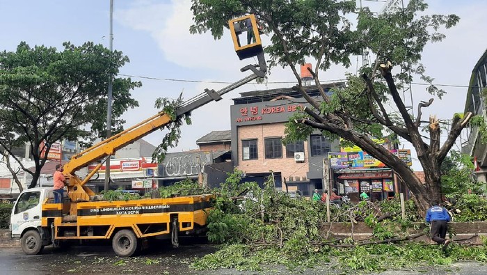Pohon tumbang di Jalan Margonda Depok