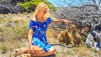 Hewan ini dijuluki the happiest animal on earth, alias hewan paling bahagia di dunia, karena wajahnya yang seperti selalu tersenyum.  (Getty Images/iStockphoto)