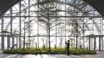 The Crystal Gedung Horisontal Tertinggi di Dunia Punya China