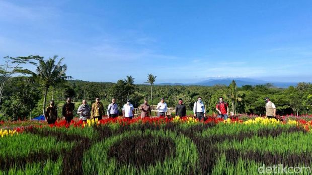 Banyuwangi - Sejumlah destinasi wisata di Banyuwangi siap menyambut era kebiasaan baru (new normal) dengan protokol kesehatan yang ketat. Salah satunya, Agrowisata Tamansuruh (AWT) di Desa Tamansuruh, Kecamatan Glagah, yang telah memiliki standar pariwisata di era new normal, mulai fasilitas protokol kesehatan hingga skema pembatasan pengunjung.