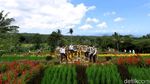 Potret Wisata New Normal di Banyuwangi