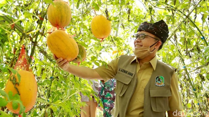 Agro Wisata Tamansuruh