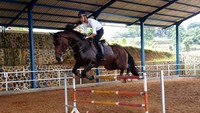 Juli nanti, Aan juga sudah dijadwalkan berlatih di Longiness World Equestrian Academy di Jerman. Sayangnya, situasi saat ini membuat semua itu hanya tinggal rencana karena toh Aan tak bisa kemana-mana. Meski demikian, Aan tetap menyimpan cita-cita besar agar bisa lolos kualifikasi dan tampil di Youth Olympic 2022 di Senegal. Aan tentu harus terus mengasah kemampuannya dengan rutin berlatih di Kurnia Stable, Gunung Geulis, Bogor, Jawa Barat, dalam kondisi apa pun. Foto: dok. Pribadi