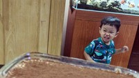 Selain hobi makan, Mesty juga rajin masak untuk keluarganya. Salah satunya dessert manis tiramissu buatan Mesty yang menggoda ini. Foto: instagram @mestyariotedjo