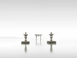 Foto Terbaik Juara Sony World Photography Awards 2020