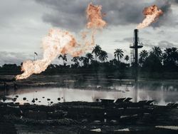 Foto Terbaik Juara Sony World Photography Awards 2020