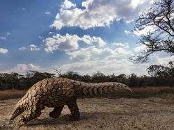 Foto Terbaik Juara Sony World Photography Awards 2020