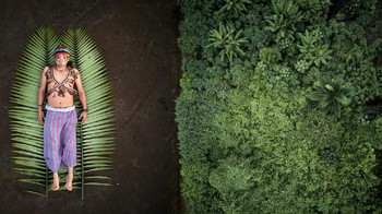 Pablo Albarenga meraih gelar Photographer of the Year dengan karya berjudul Seeds of Resistance 3. Foto: Pablo Albarenga/Sony World Photography Awards 2020